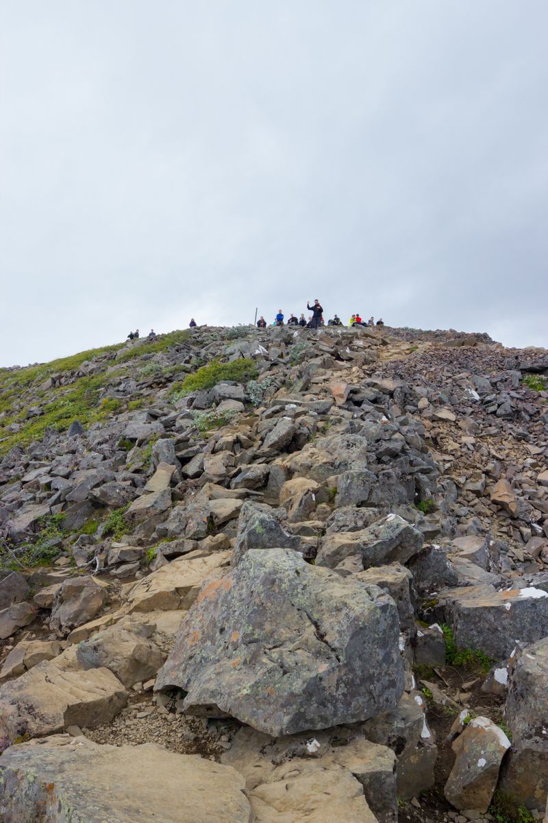 Día 5: Skaftafell, Jokursálón y Fjallsárlón con sorpresa incluida - Islandia 2015: Cataratas, volcanes, cráteres y glaciares en campervan (13)