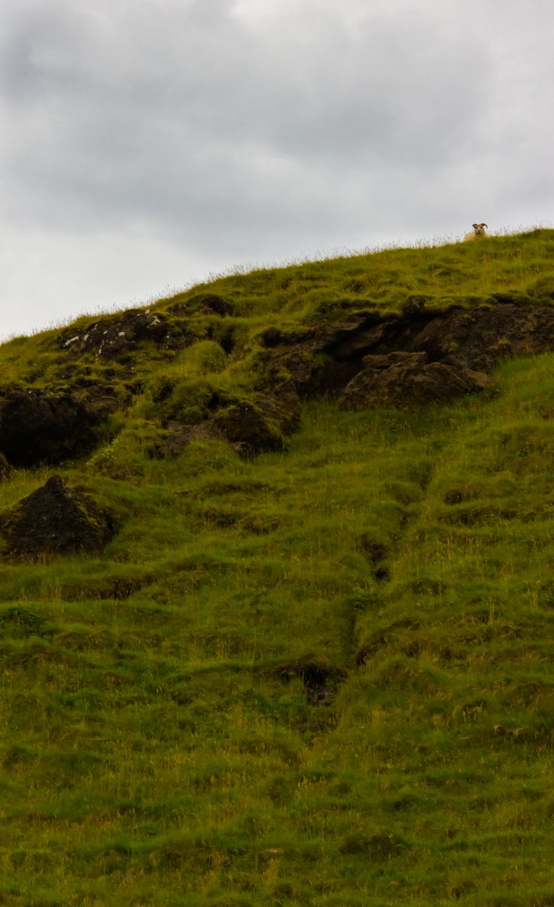 Día 3: Skógafoss, trail junto al río Skógar y Kvernufoss - Islandia 2015: Cataratas, volcanes, cráteres y glaciares en campervan (43)