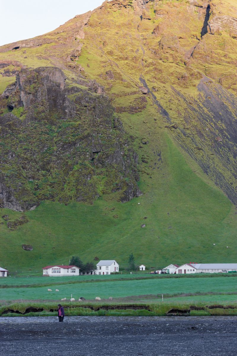 Día 4: Playas negras, Vík y Fjadrárgljúfur - Islandia 2015: Cataratas, volcanes, cráteres y glaciares en campervan (3)