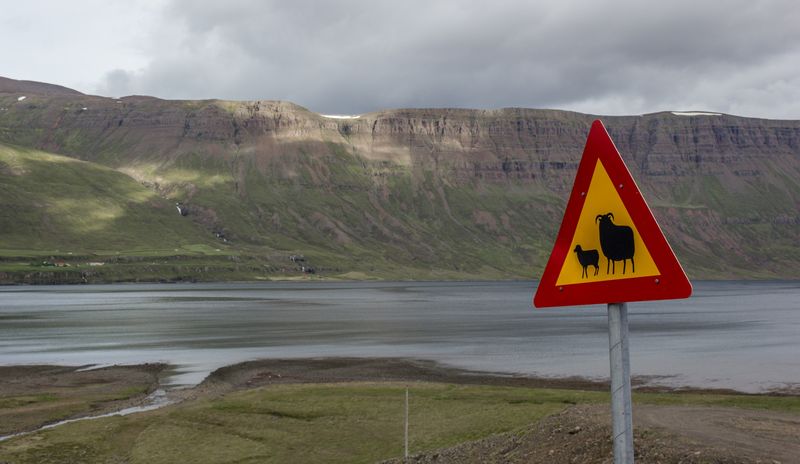 Día 7: De Seydisfjördur a Mývatn pasando por Dettifoss y más auroras - Islandia 2015: Cataratas, volcanes, cráteres y glaciares en campervan (7)