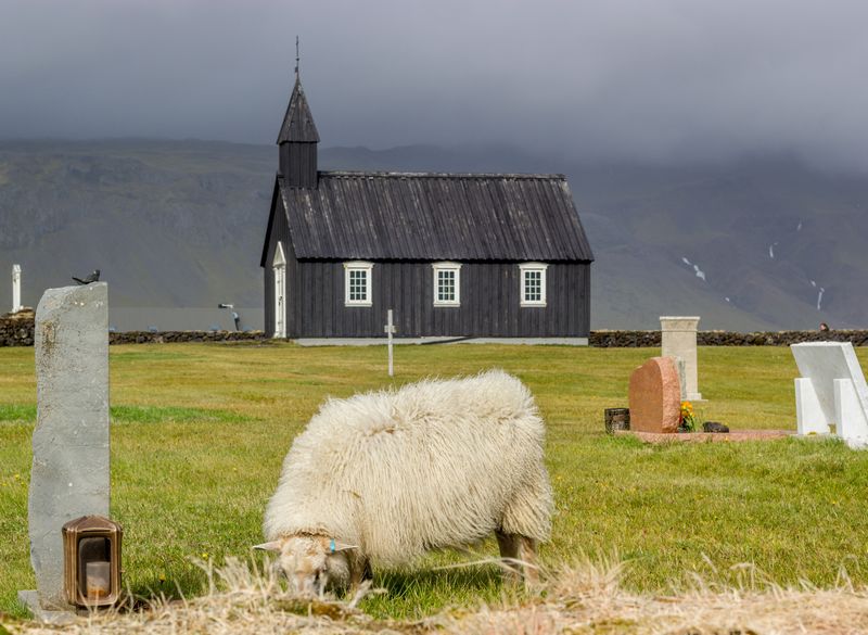 Día 12: Recorriendo la península de Snaefellsness - Islandia 2015: Cataratas, volcanes, cráteres y glaciares en campervan (12)