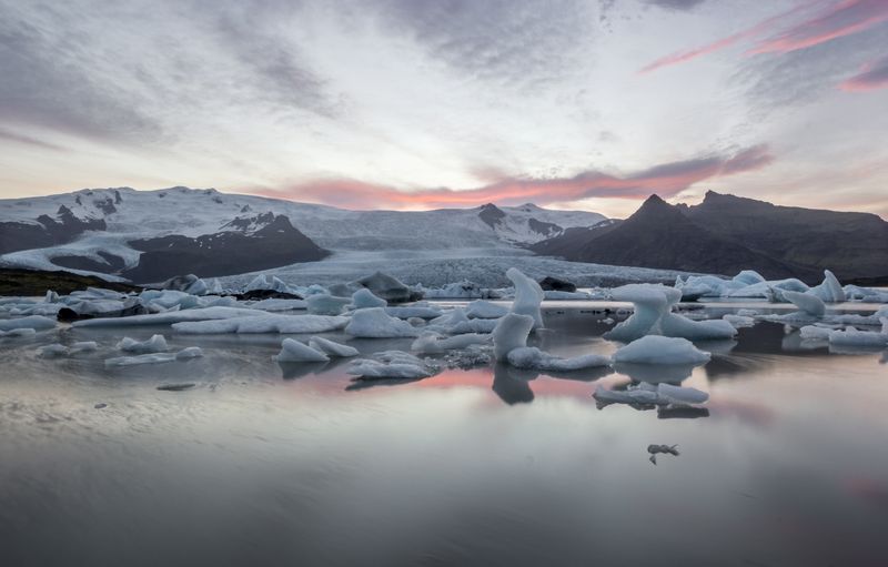 Día 5: Skaftafell, Jokursálón y Fjallsárlón con sorpresa incluida - Islandia 2015: Cataratas, volcanes, cráteres y glaciares en campervan (36)