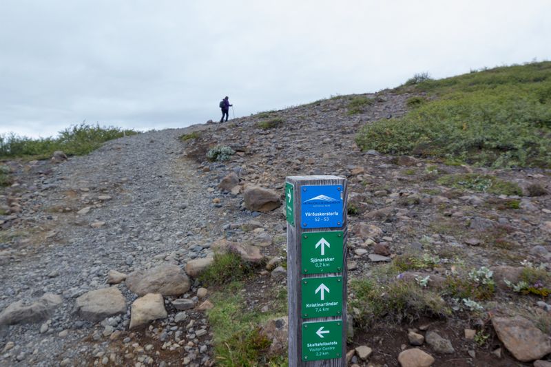 Día 5: Skaftafell, Jokursálón y Fjallsárlón con sorpresa incluida - Islandia 2015: Cataratas, volcanes, cráteres y glaciares en campervan (16)