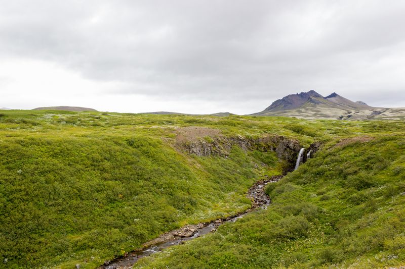Islandia 2015: Cataratas, volcanes, cráteres y glaciares en campervan - Blogs de Islandia - Día 5: Skaftafell, Jokursálón y Fjallsárlón con sorpresa incluida (9)