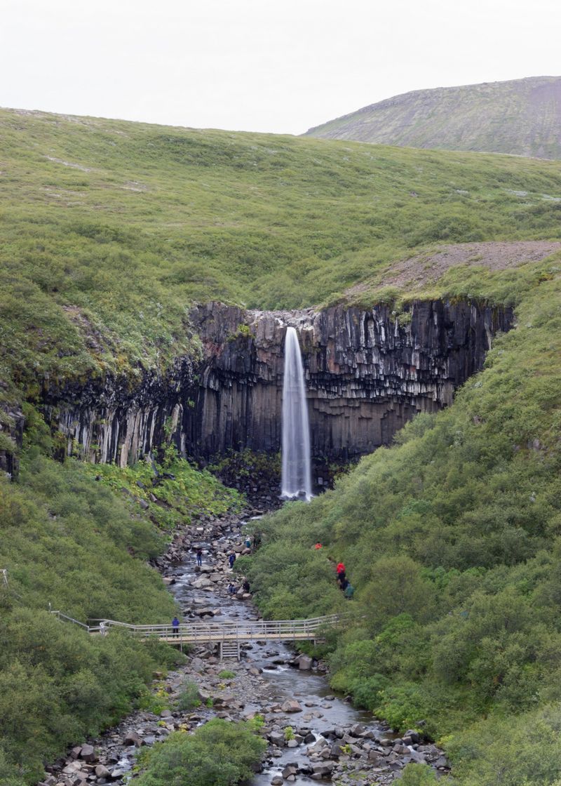 Islandia 2015: Cataratas, volcanes, cráteres y glaciares en campervan - Blogs de Islandia - Día 5: Skaftafell, Jokursálón y Fjallsárlón con sorpresa incluida (14)
