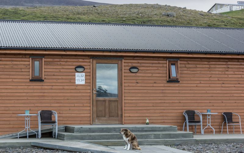 Día 11: Hvítserkur, Grábrók, Glanni y llegada a Snaefellness - Islandia 2015: Cataratas, volcanes, cráteres y glaciares en campervan (9)