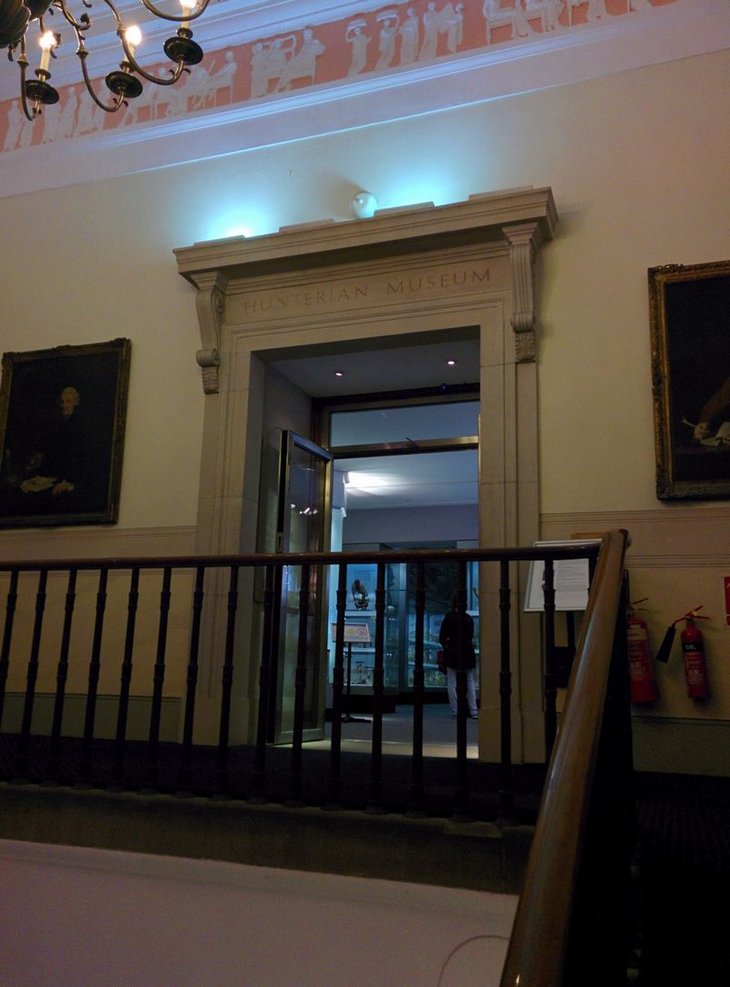 Día 6: Hunterian Museum, Science Museum, Catedral de San Pablo y última vuelta - Seis días en Londres en diciembre de 2015 (5)