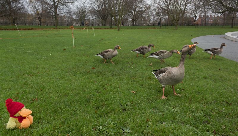 Seis días en Londres en diciembre de 2015 - Blogs de Reino Unido - Día 4: Hyde Park, Camden Market y las vistas desde el Sky Garden (14)