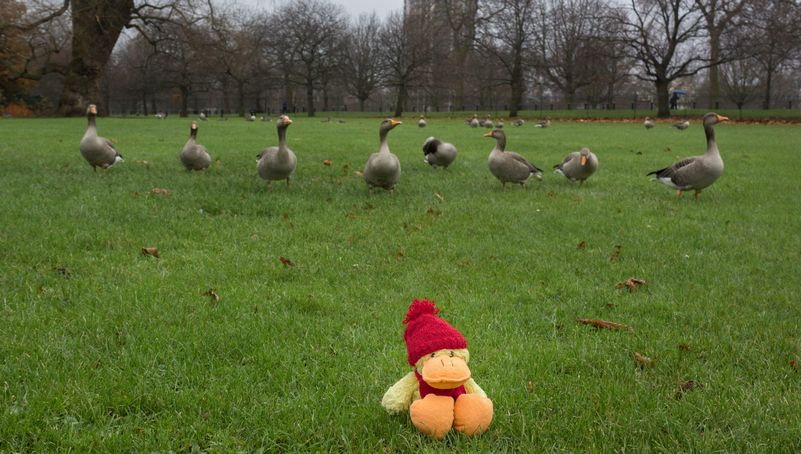 Seis días en Londres en diciembre de 2015 - Blogs de Reino Unido - Día 4: Hyde Park, Camden Market y las vistas desde el Sky Garden (13)