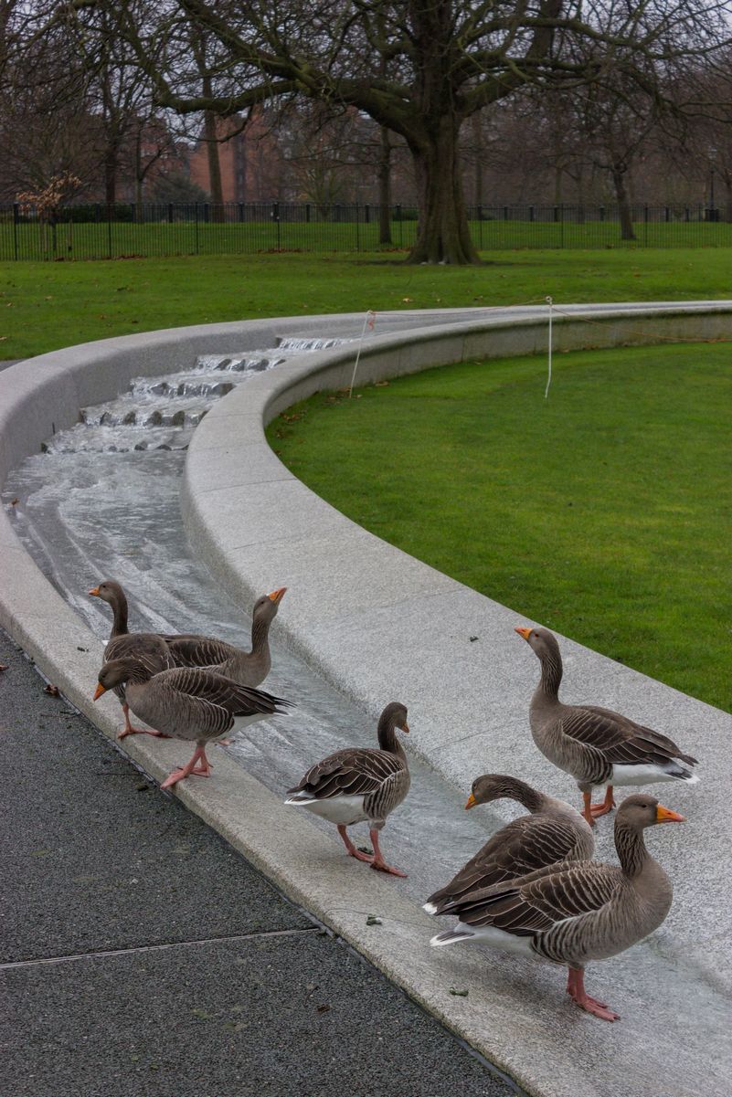 Seis días en Londres en diciembre de 2015 - Blogs de Reino Unido - Día 4: Hyde Park, Camden Market y las vistas desde el Sky Garden (15)