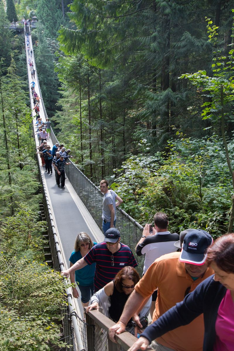 Rocosas de Canadá (más Seattle y Glacier National Park) 2016 - Blogs de Canada - Día 3: Vancouver: Capilano Suspension Bridge, Lynn Canyon y Grouse Mountain (14)