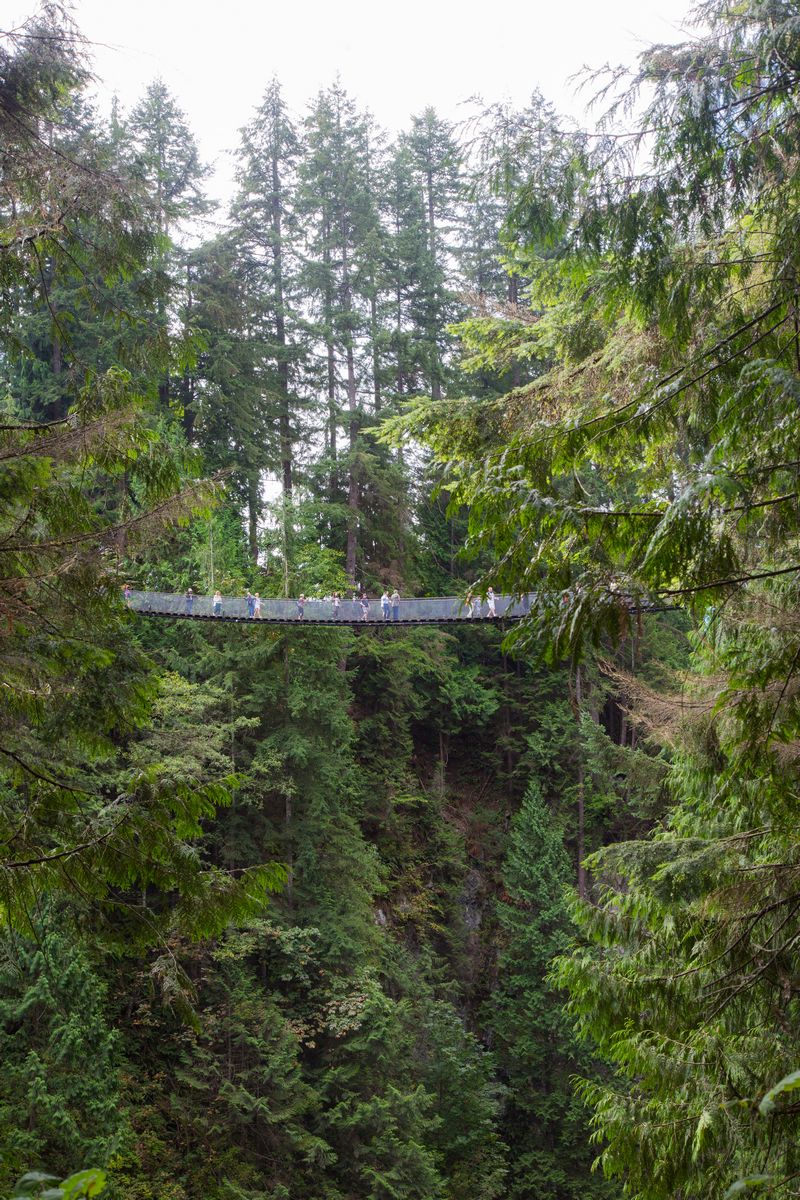 Rocosas de Canadá (más Seattle y Glacier National Park) 2016 - Blogs de Canada - Día 3: Vancouver: Capilano Suspension Bridge, Lynn Canyon y Grouse Mountain (13)