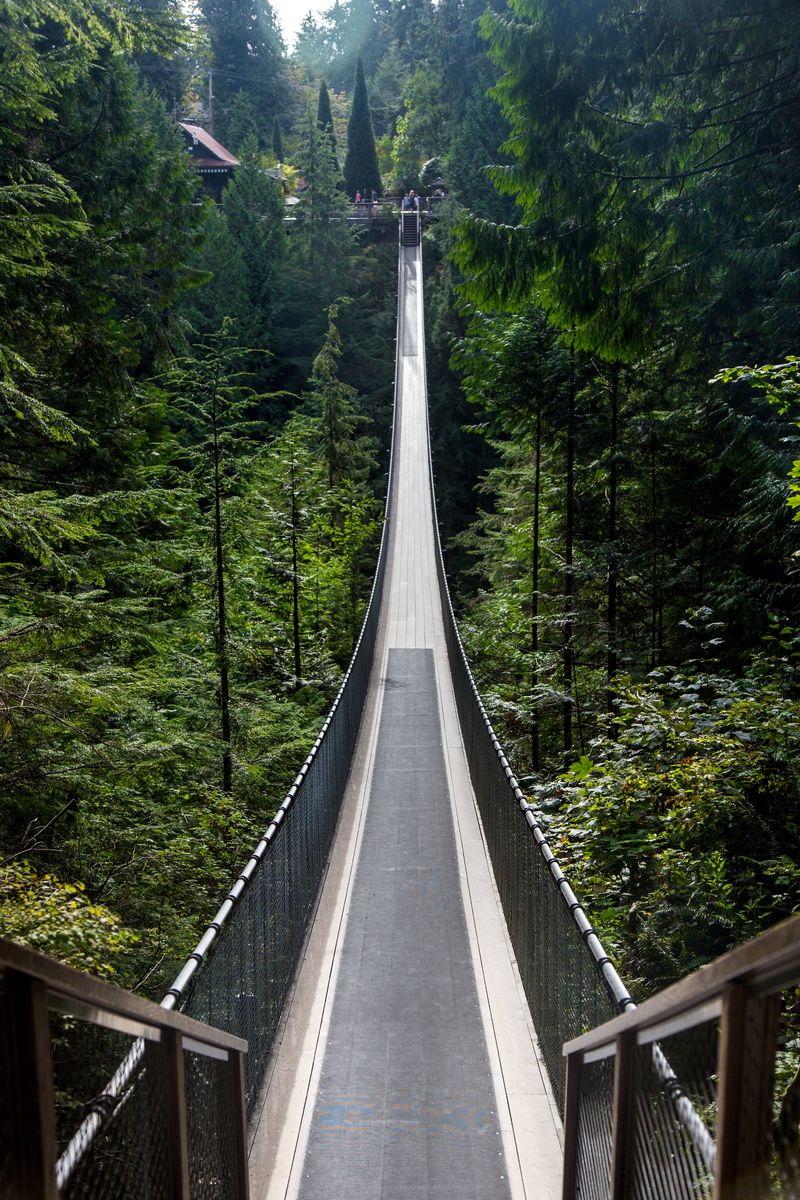 Rocosas de Canadá (más Seattle y Glacier National Park) 2016 - Blogs de Canada - Día 3: Vancouver: Capilano Suspension Bridge, Lynn Canyon y Grouse Mountain (6)