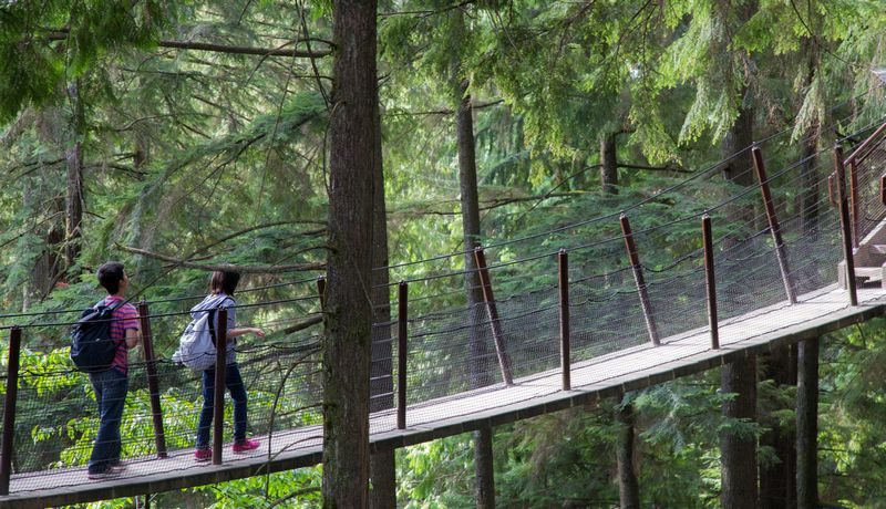 Rocosas de Canadá (más Seattle y Glacier National Park) 2016 - Blogs de Canada - Día 3: Vancouver: Capilano Suspension Bridge, Lynn Canyon y Grouse Mountain (9)