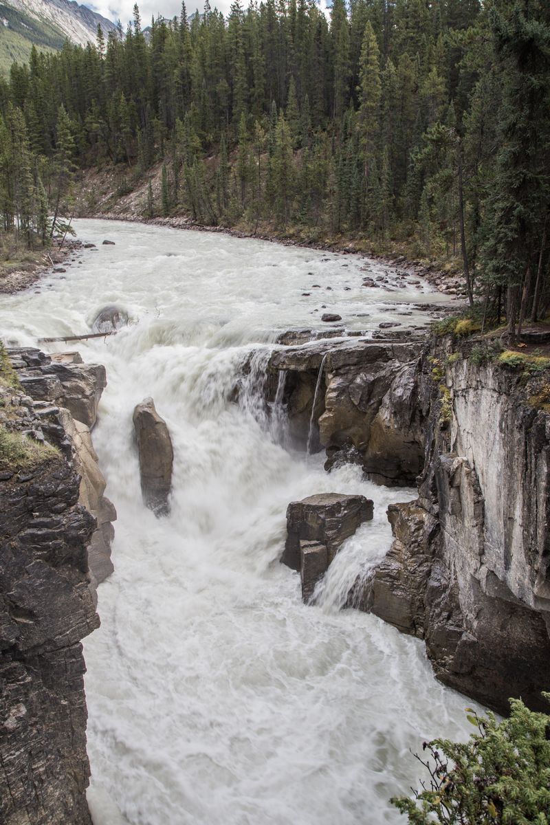 Día 8: Icefields Parkway: Athabasca Falls, Tangle Creek Falls y Parker Ridge - Rocosas de Canadá (más Seattle y Glacier National Park) 2016 (20)