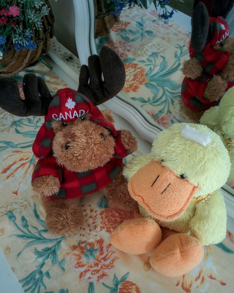 Rocosas de Canadá (más Seattle y Glacier National Park) 2016 - Blogs de Canada - Día 15: Tunnel Mountain, Minnewanka Lake y rumbo a Nanton (13)