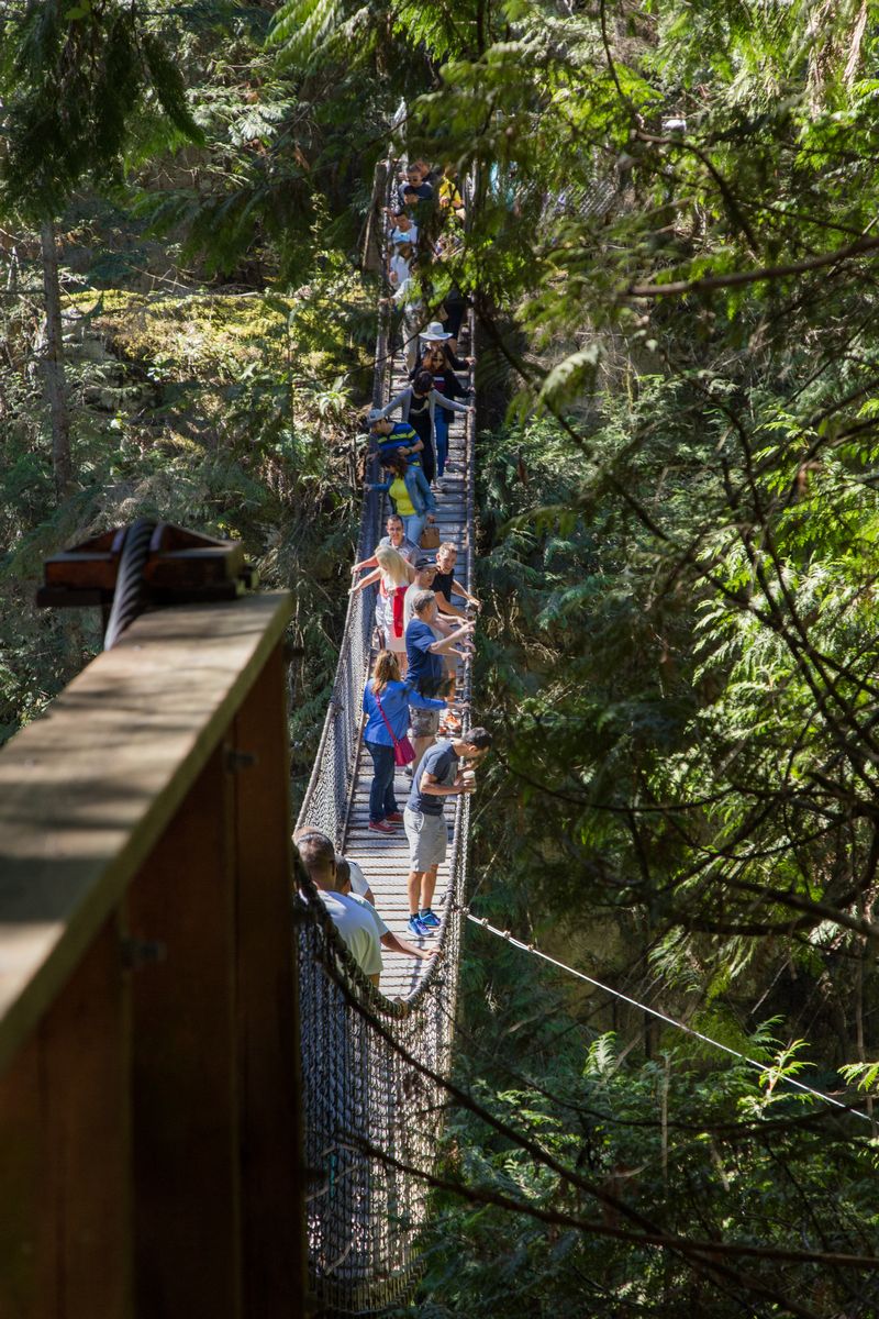 Rocosas de Canadá (más Seattle y Glacier National Park) 2016 - Blogs de Canada - Día 3: Vancouver: Capilano Suspension Bridge, Lynn Canyon y Grouse Mountain (23)