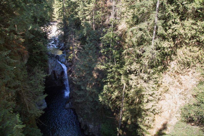 Rocosas de Canadá (más Seattle y Glacier National Park) 2016 - Blogs de Canada - Día 3: Vancouver: Capilano Suspension Bridge, Lynn Canyon y Grouse Mountain (22)