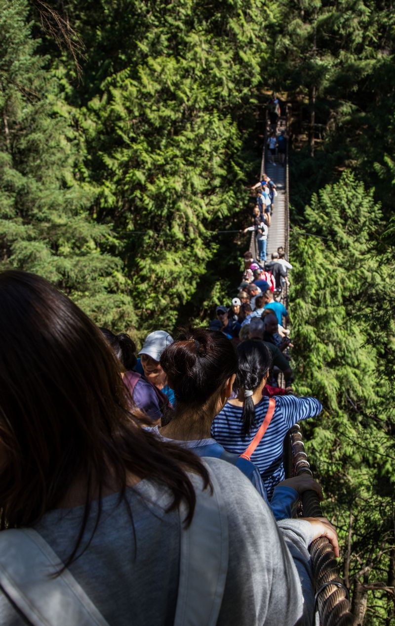 Rocosas de Canadá (más Seattle y Glacier National Park) 2016 - Blogs de Canada - Día 3: Vancouver: Capilano Suspension Bridge, Lynn Canyon y Grouse Mountain (21)