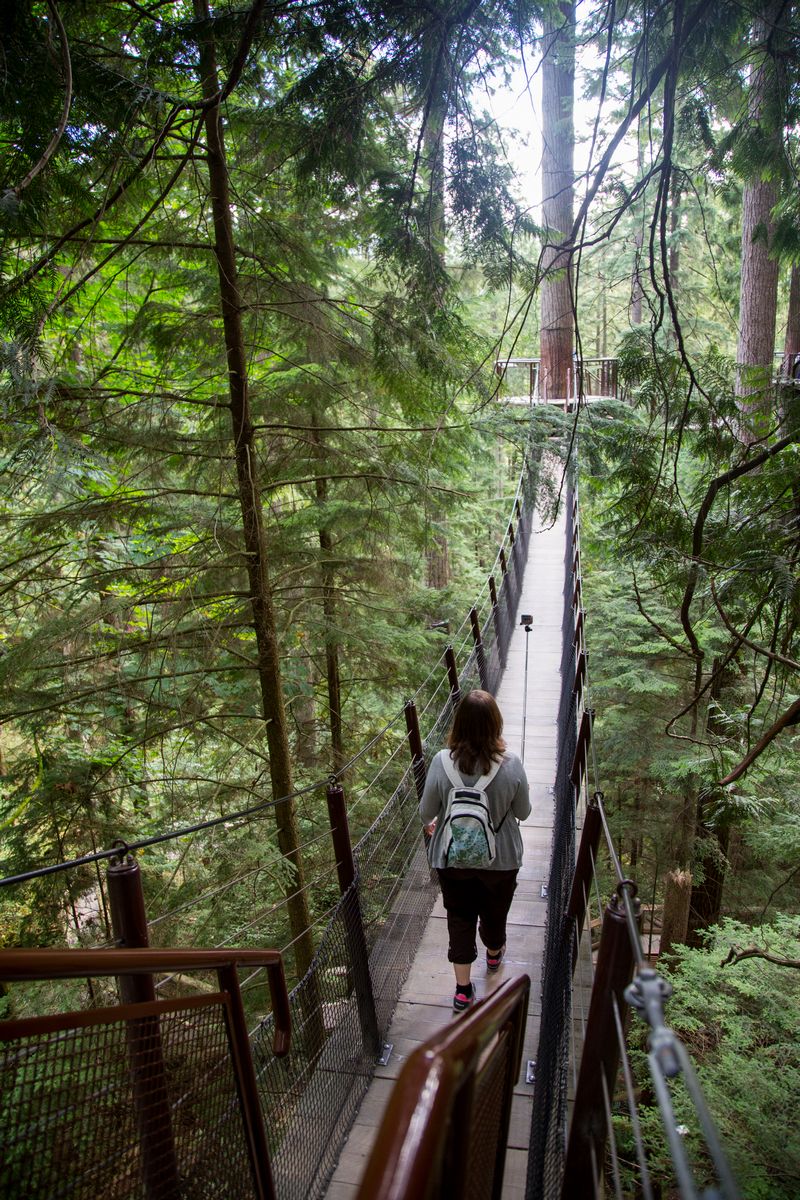 Rocosas de Canadá (más Seattle y Glacier National Park) 2016 - Blogs de Canada - Día 3: Vancouver: Capilano Suspension Bridge, Lynn Canyon y Grouse Mountain (8)