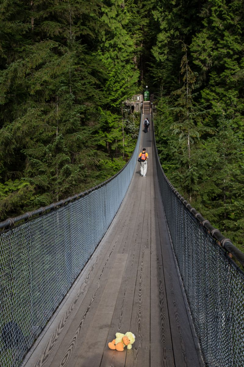 Día 3: Vancouver: Capilano Suspension Bridge, Lynn Canyon y Grouse Mountain - Rocosas de Canadá (más Seattle y Glacier National Park) 2016 (5)