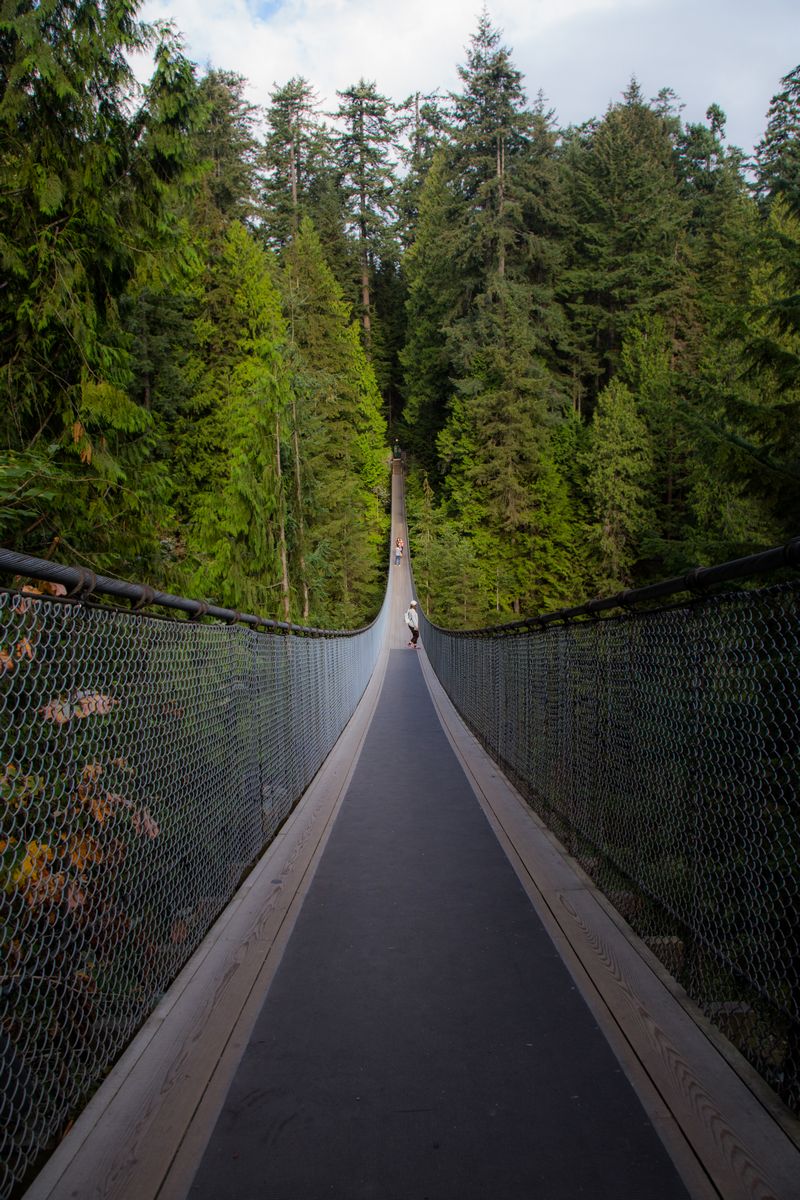 Rocosas de Canadá (más Seattle y Glacier National Park) 2016 - Blogs de Canada - Día 3: Vancouver: Capilano Suspension Bridge, Lynn Canyon y Grouse Mountain (3)
