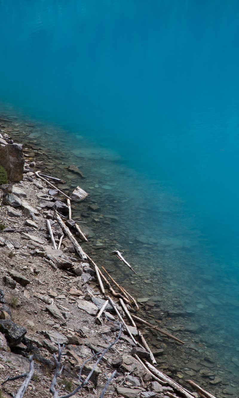 Rocosas de Canadá (más Seattle y Glacier National Park) 2016 - Blogs de Canada - Día 12: Emerald y Moraine Lake, ¿cómo elegir? (22)