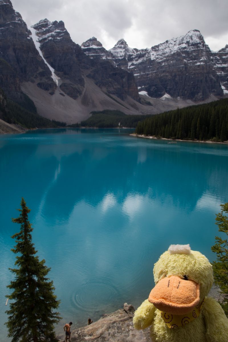 Rocosas de Canadá (más Seattle y Glacier National Park) 2016 - Blogs de Canada - Día 12: Emerald y Moraine Lake, ¿cómo elegir? (20)