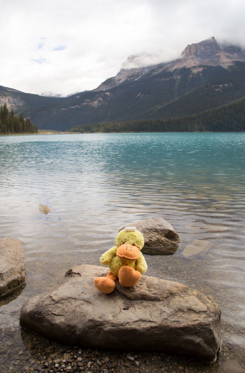 Rocosas de Canadá (más Seattle y Glacier National Park) 2016 - Blogs de Canada - Día 12: Emerald y Moraine Lake, ¿cómo elegir? (12)