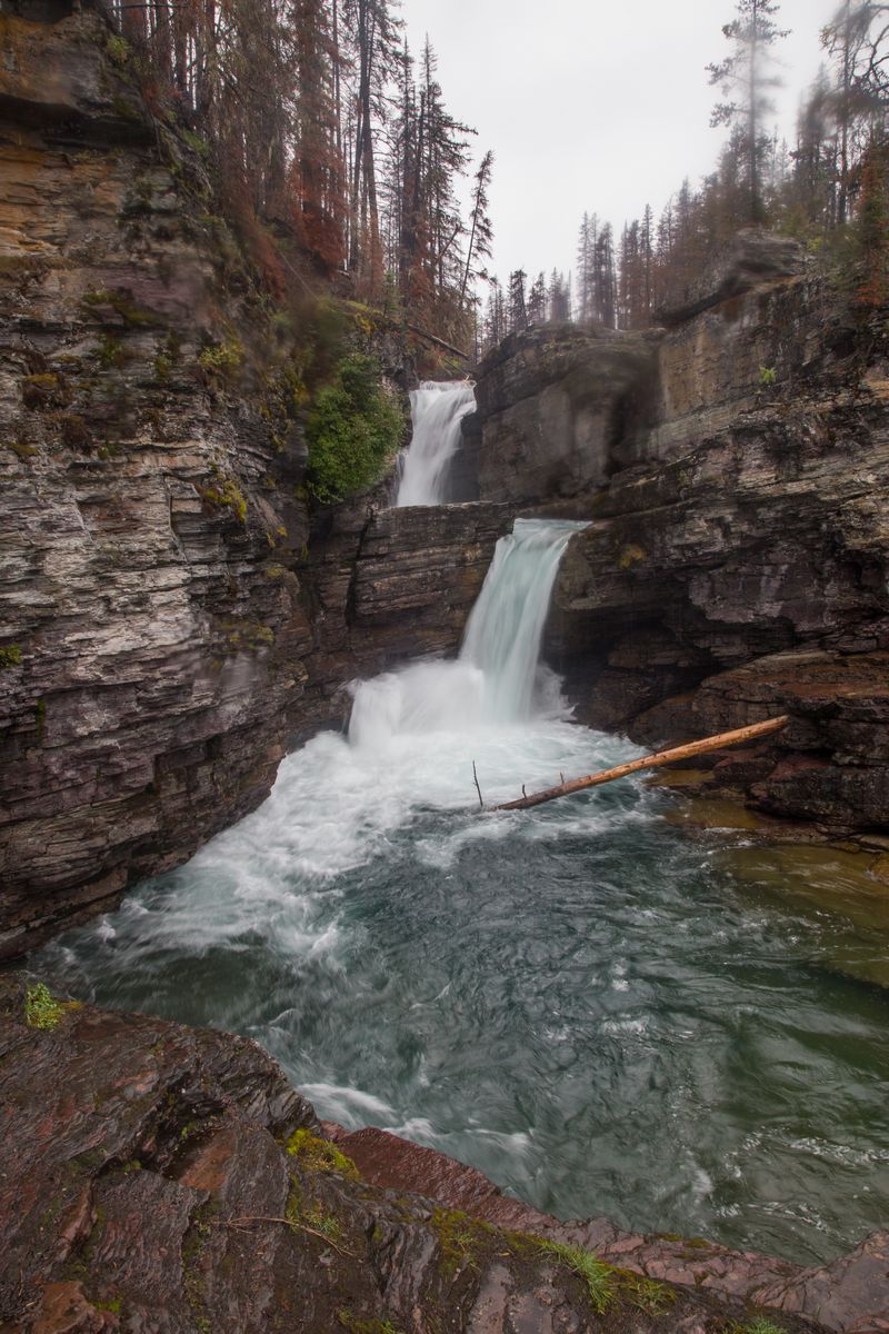 Rocosas de Canadá (más Seattle y Glacier National Park) 2016 - Blogs de Canada - Día 18: Llegamos a Glacier National Park... bajo la lluvia (14)