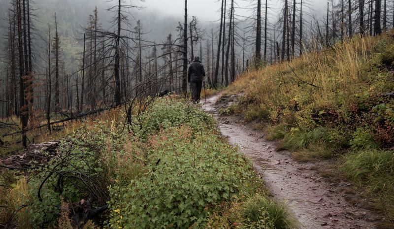 Rocosas de Canadá (más Seattle y Glacier National Park) 2016 - Blogs de Canada - Día 18: Llegamos a Glacier National Park... bajo la lluvia (13)