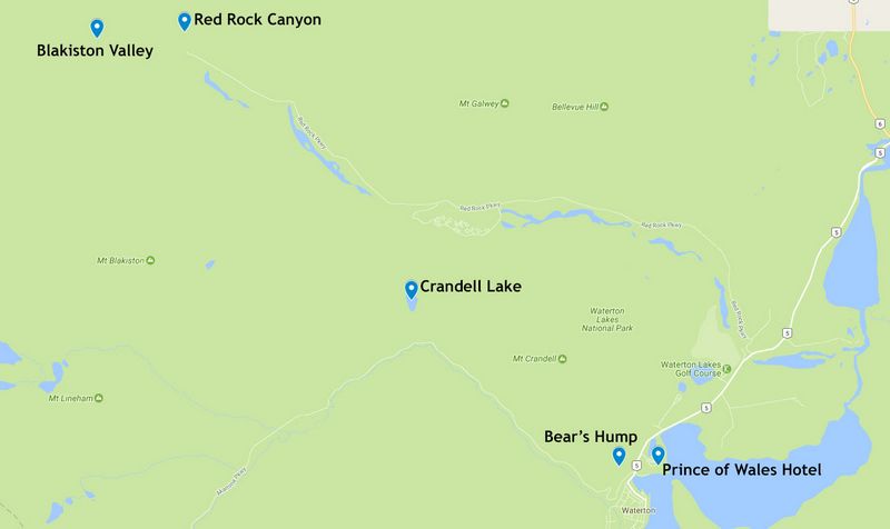 Día 17: Osos y jorobas en Waterton Lakes - Rocosas de Canadá (más Seattle y Glacier National Park) 2016 (1)