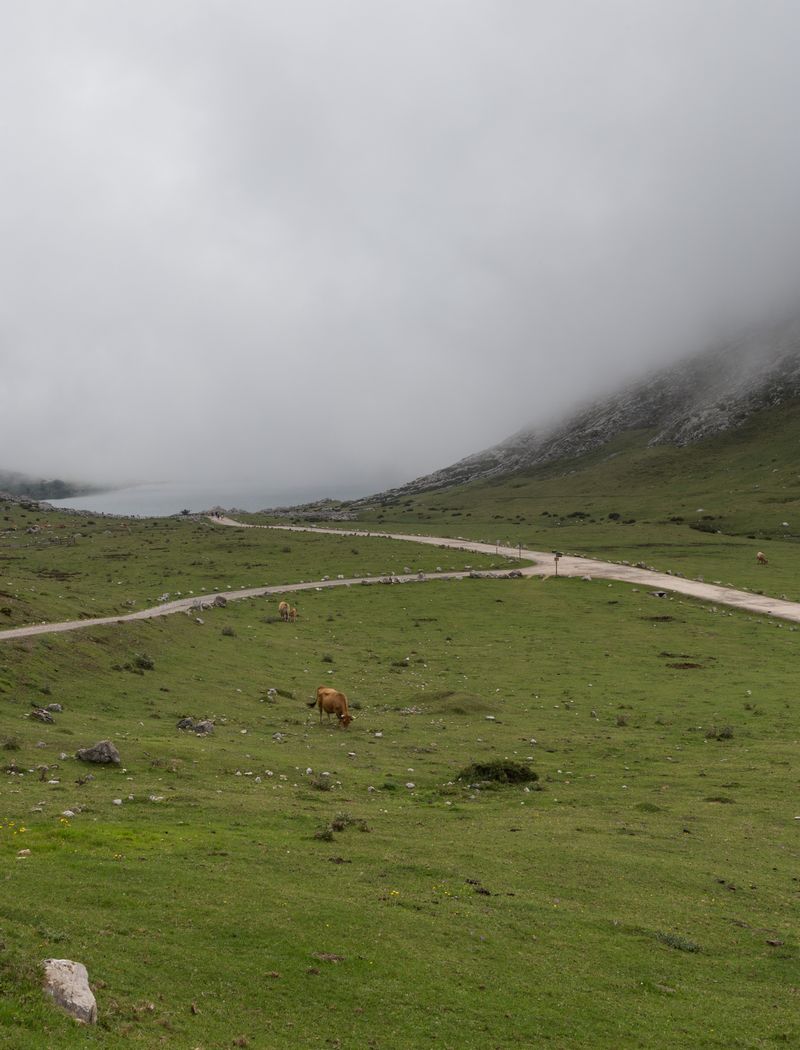 La verde Asturias - Blogs de España - Día 2: Picos de Europa - Lagos de Covadonga (36)