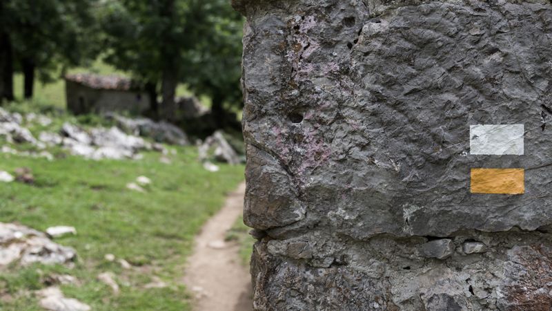 La verde Asturias - Blogs de España - Día 2: Picos de Europa - Lagos de Covadonga (30)