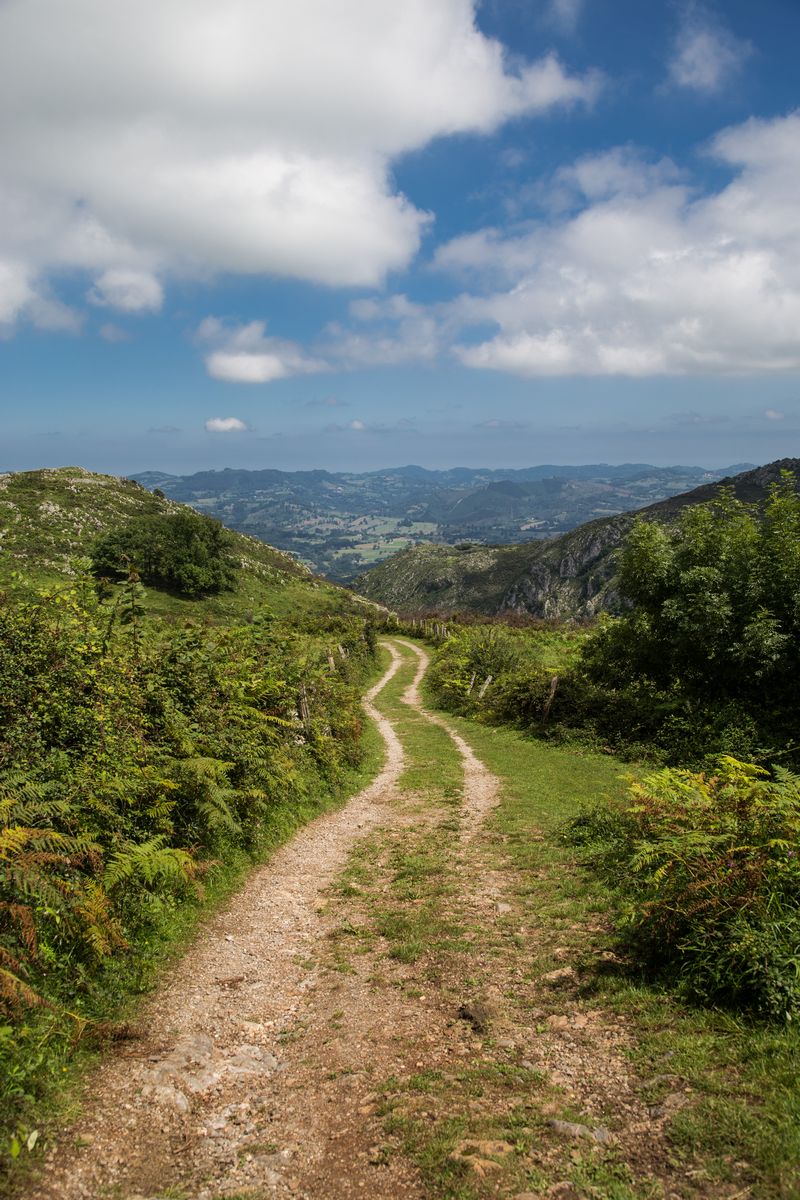 Día 1: Vuelo a Asturias, Foces del Pendón, Mirador del Fitu - La verde Asturias (14)