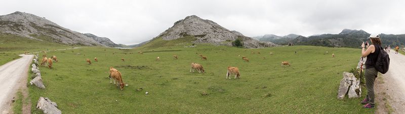 La verde Asturias - Blogs de España - Día 2: Picos de Europa - Lagos de Covadonga (32)