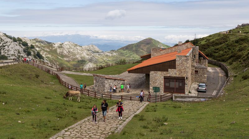 La verde Asturias - Blogs de España - Día 2: Picos de Europa - Lagos de Covadonga (16)
