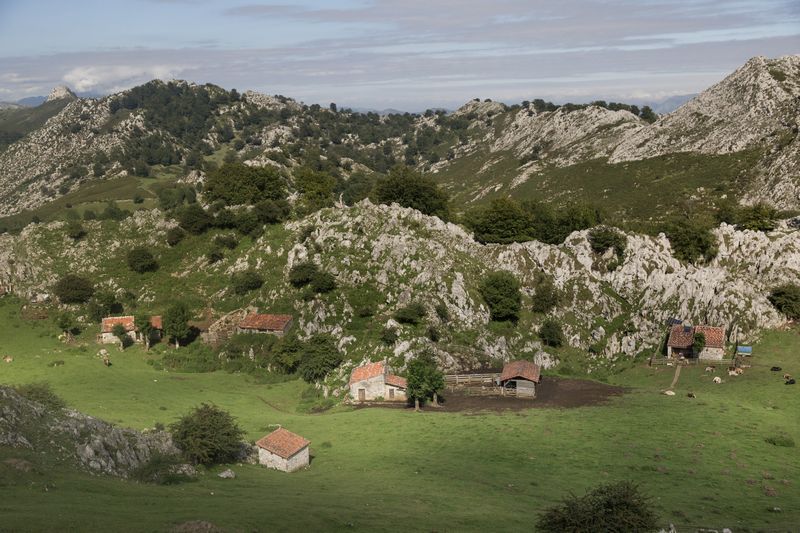 La verde Asturias - Blogs de España - Día 2: Picos de Europa - Lagos de Covadonga (12)