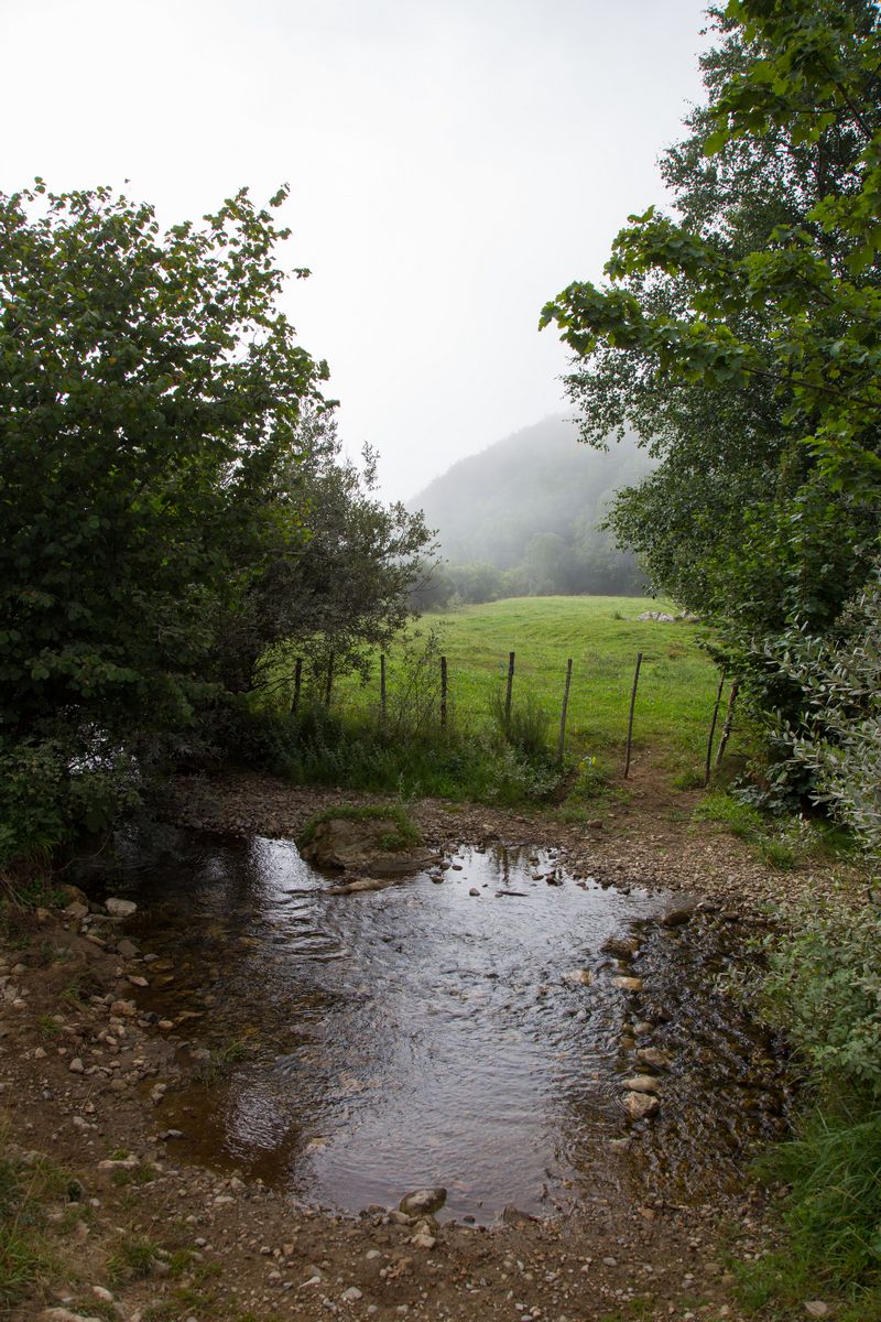 Día 6: Somiedo - Lago del Valle - La verde Asturias (6)