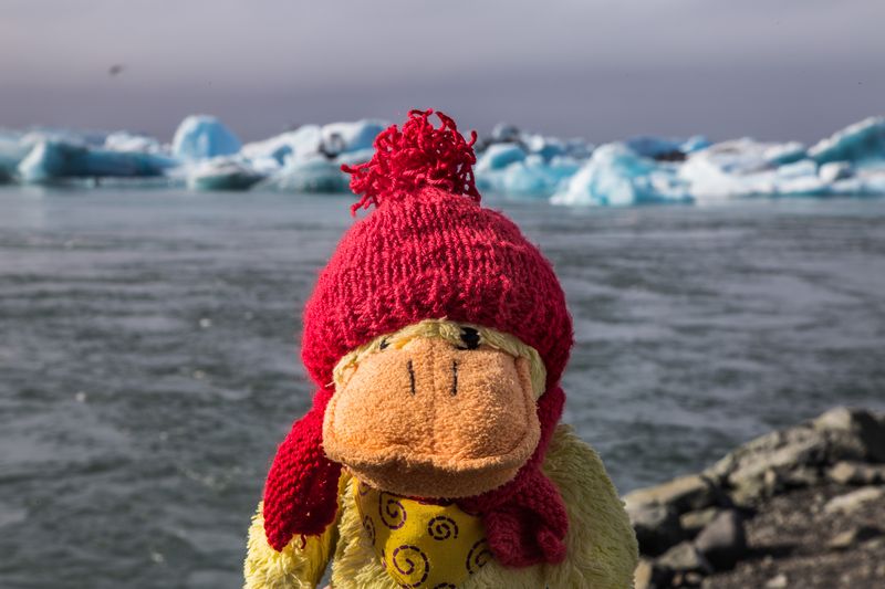 Islandia 2017: volvemos a la tierra de hielo y fuego - Blogs de Islandia - Día 4: Al mal tiempo, Jokulsarlon (10)