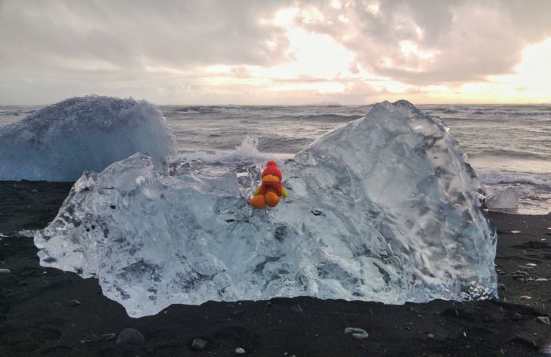 Día 5: El hielo de Jokulsarlon, Fjallsarlon y Svinafellsjokull - Islandia 2017: volvemos a la tierra de hielo y fuego (11)