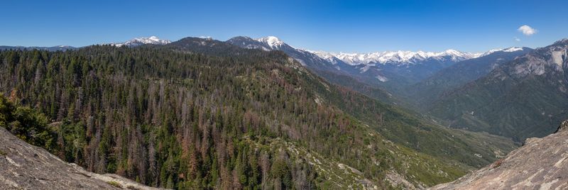 Día 5: Sequoia: Giant Forest, General Sherman y Moro Rock - Yosemite 2017 (13)