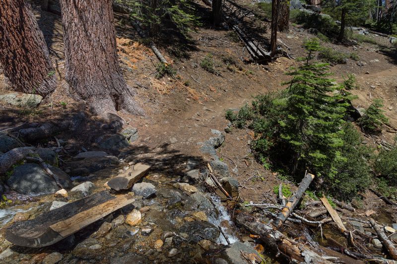 Yosemite 2017 - Blogs de USA - Día 4: Yosemite: Panorama Trail (11)