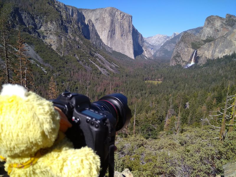 Yosemite 2017 - Blogs de USA - Día 7: Yosemite: Columbia Rock, Upper Falls, Bridalveil Fall y Artist Point (25)