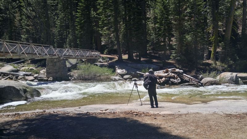 Yosemite 2017 - Blogs de USA - Día 4: Yosemite: Panorama Trail (18)