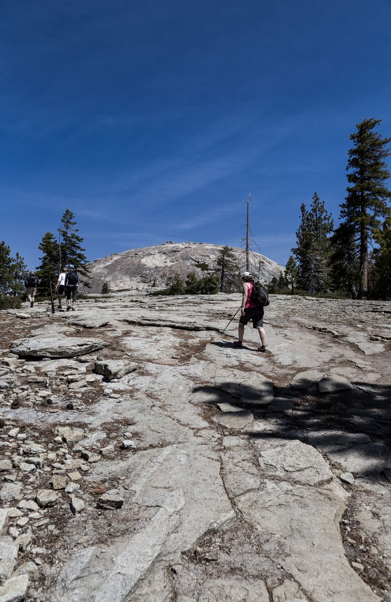 Yosemite 2017 - Blogs de USA - Día 6: Yosemite: Sentinel Dome y Taft Point (6)