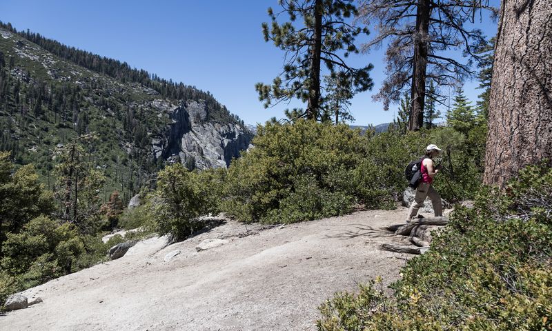 Yosemite 2017 - Blogs de USA - Día 4: Yosemite: Panorama Trail (19)