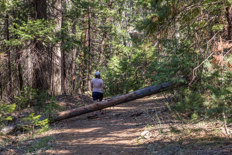 Yosemite 2017 - Blogs de USA - Día 7: Yosemite: Columbia Rock, Upper Falls, Bridalveil Fall y Artist Point (22)