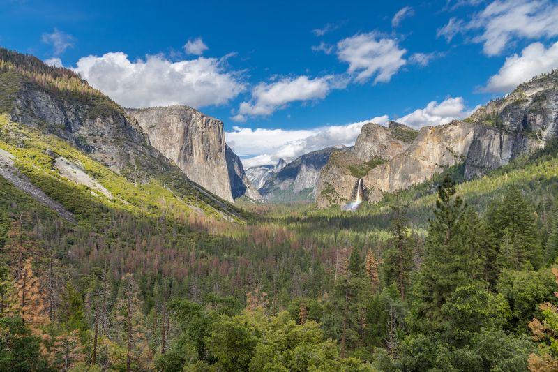 Yosemite 2017 - Blogs de USA - Día 3: Yosemite: Cook Meadow's Loop, Lower Falls, Mirror Lake y Tunnel View (17)