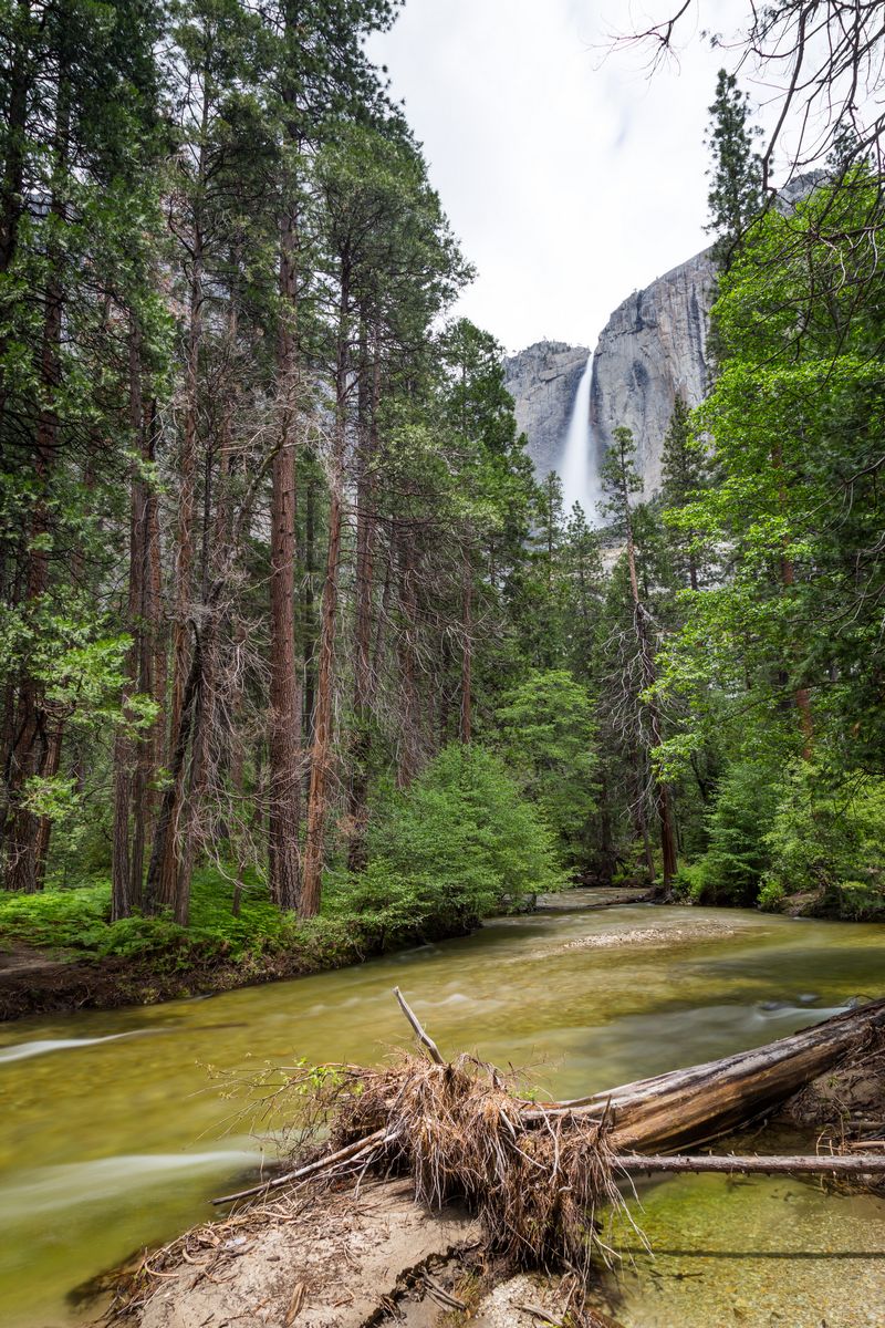 Yosemite 2017 - Blogs de USA - Día 3: Yosemite: Cook Meadow's Loop, Lower Falls, Mirror Lake y Tunnel View (12)
